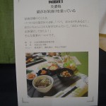 美濃焼―猫がお茶漬けを狙っている―説明